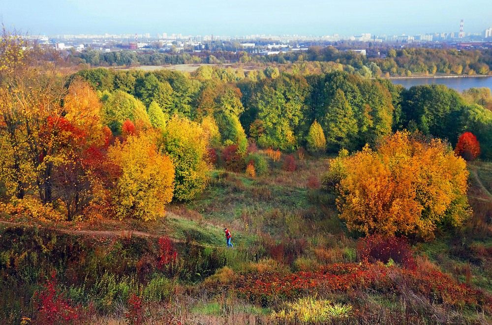 Photograph by Жучков Никита