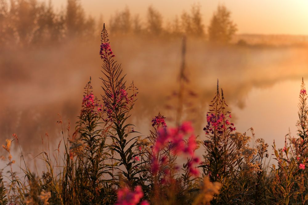 Photograph by федотов Алексей