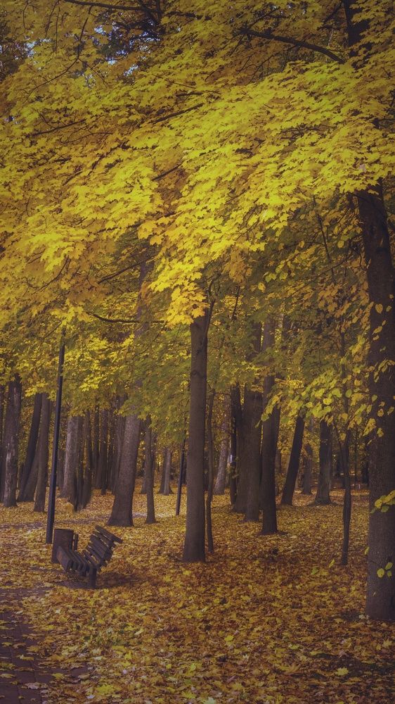 Photograph by Елена Пасажицкая