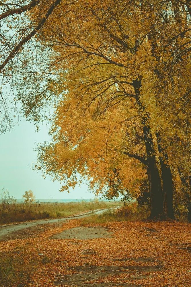 Фотография автора KattyFox