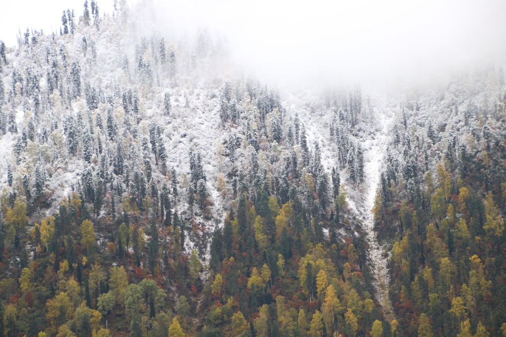 Photograph by Наталья Трифуз