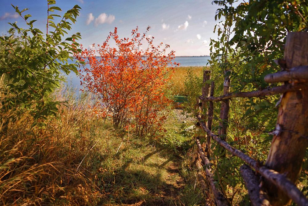 Photograph by Нина Будникова