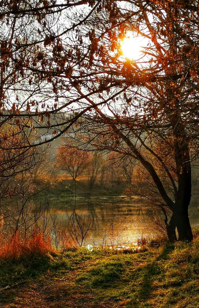 Photograph by Владимир Прорешный