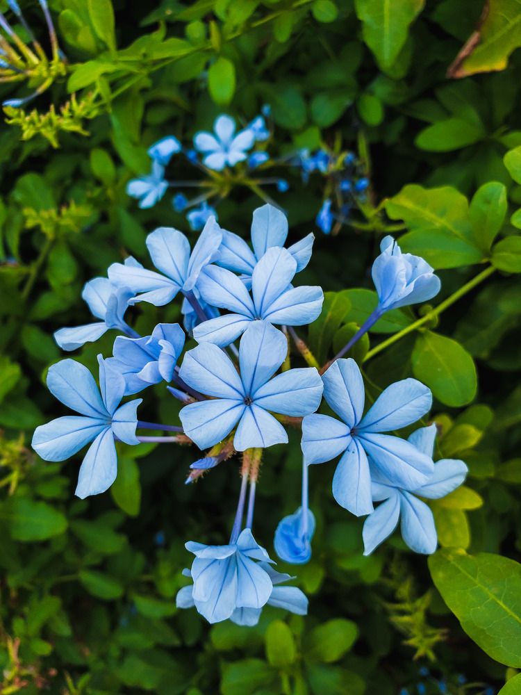 Photograph by Евгения Алексеева