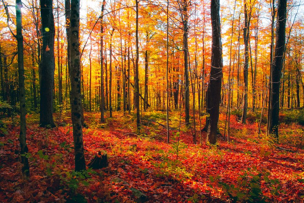 Photograph by Stephen