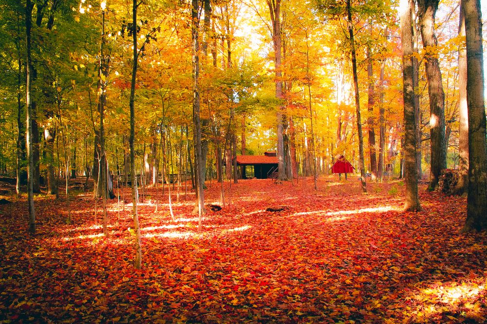 Photograph by Stephen