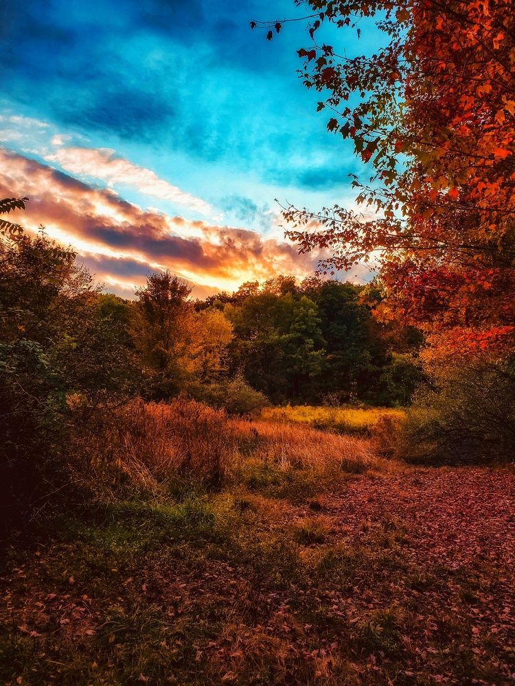 Photograph by Stephen