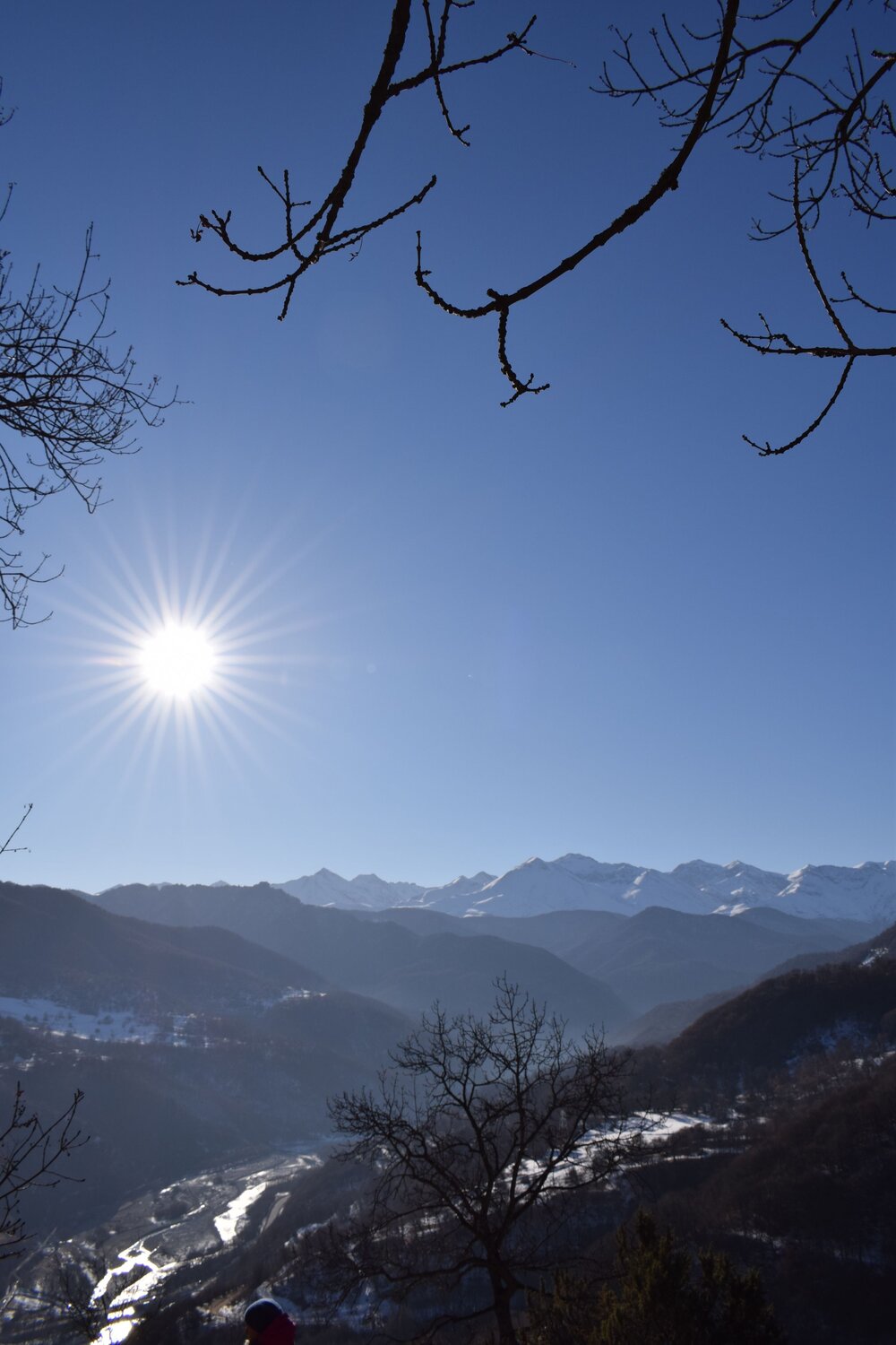 Photo #6561029
