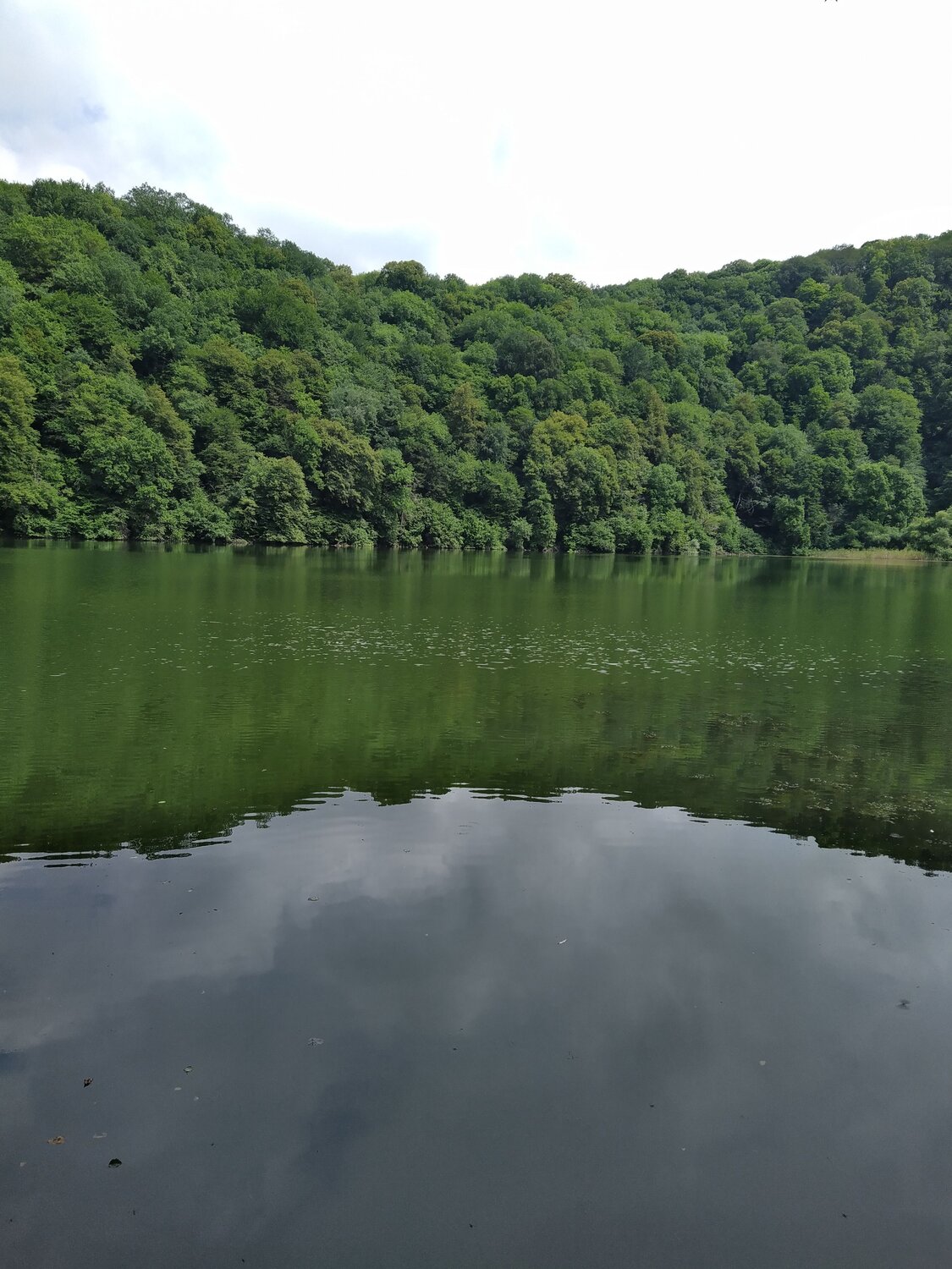 Photo #6561058