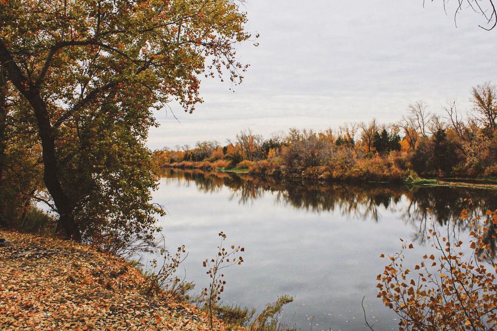 Осенний берег