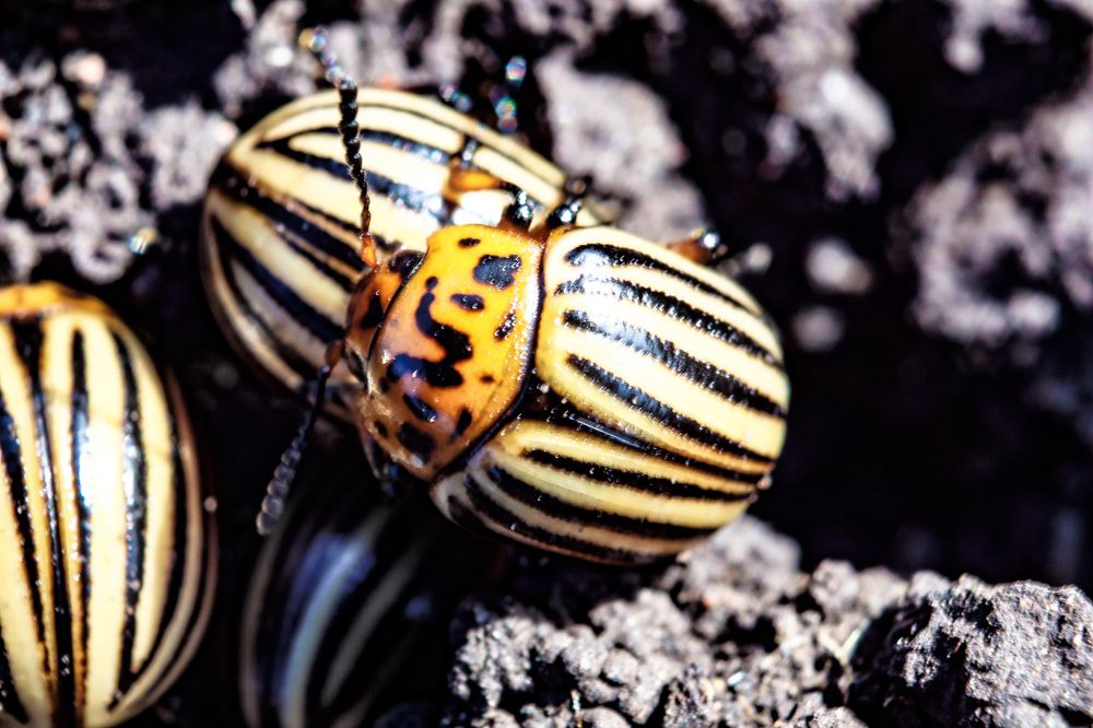 Photograph by Денис Геранькин