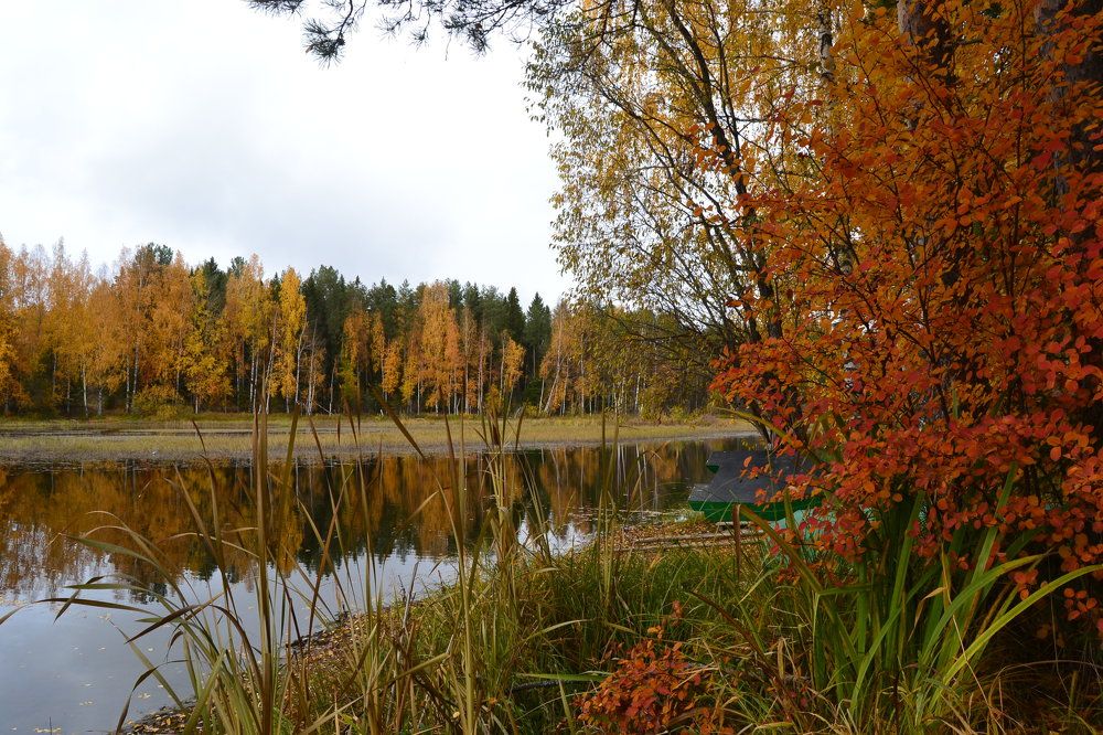 Photograph by Наталья Слудникова