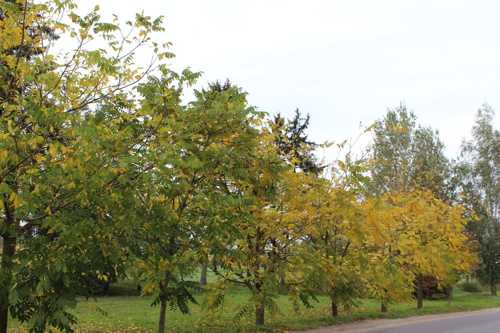 Фотография автора Катеренчук Андрей