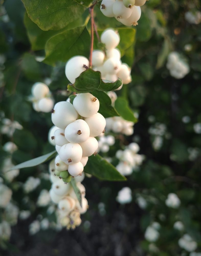 Photograph by Юлия Гетманская