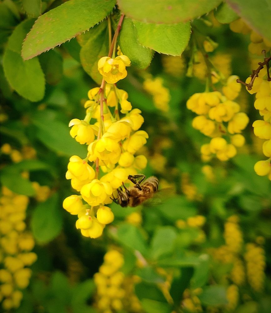 Photograph by Юлия Гетманская