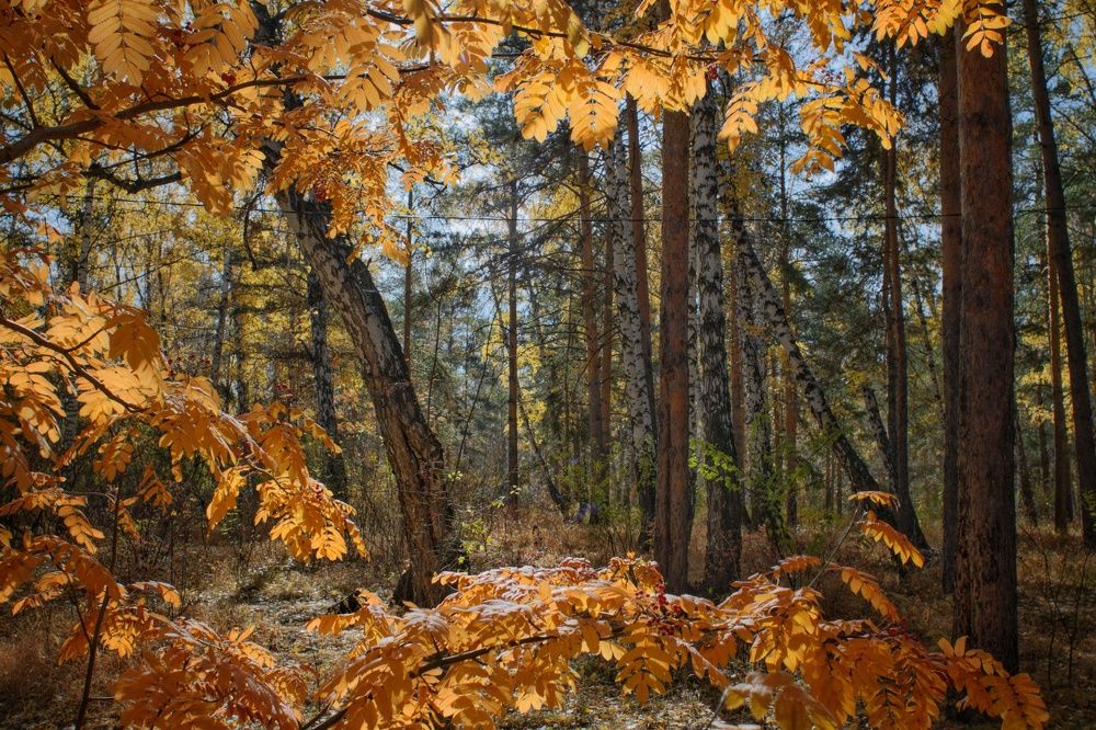 Photograph by Константин Степанов