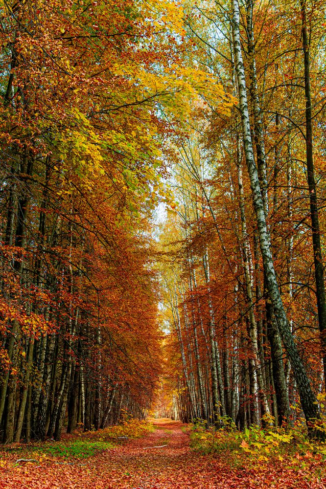 Photograph by Дмитрий Жижин