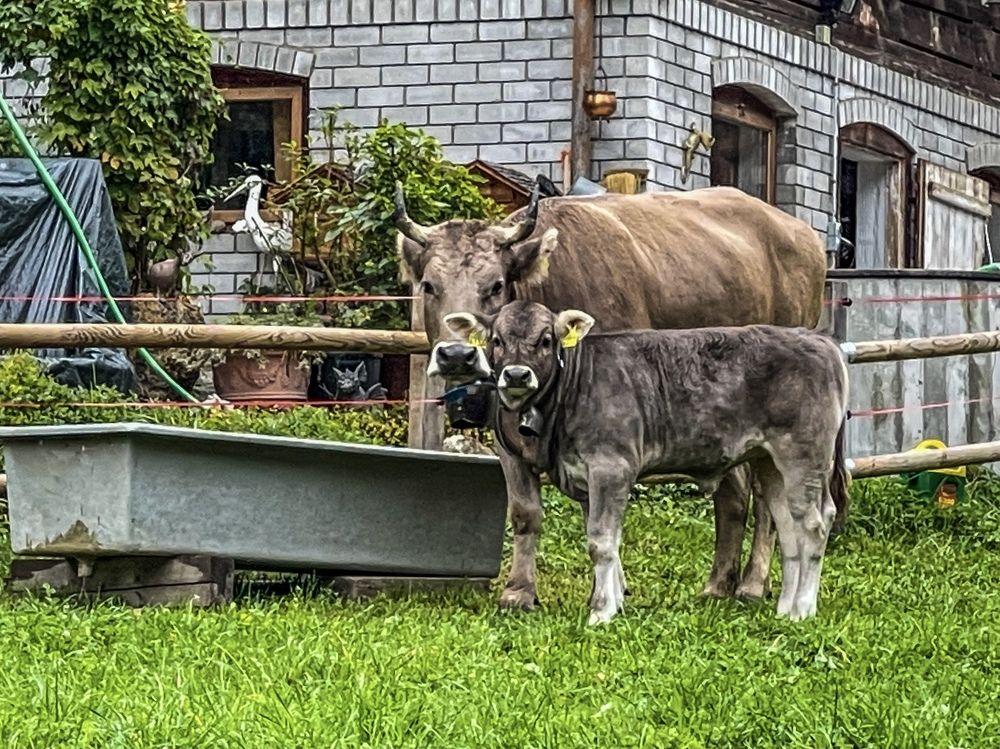 Photograph by Bolonieart Photos