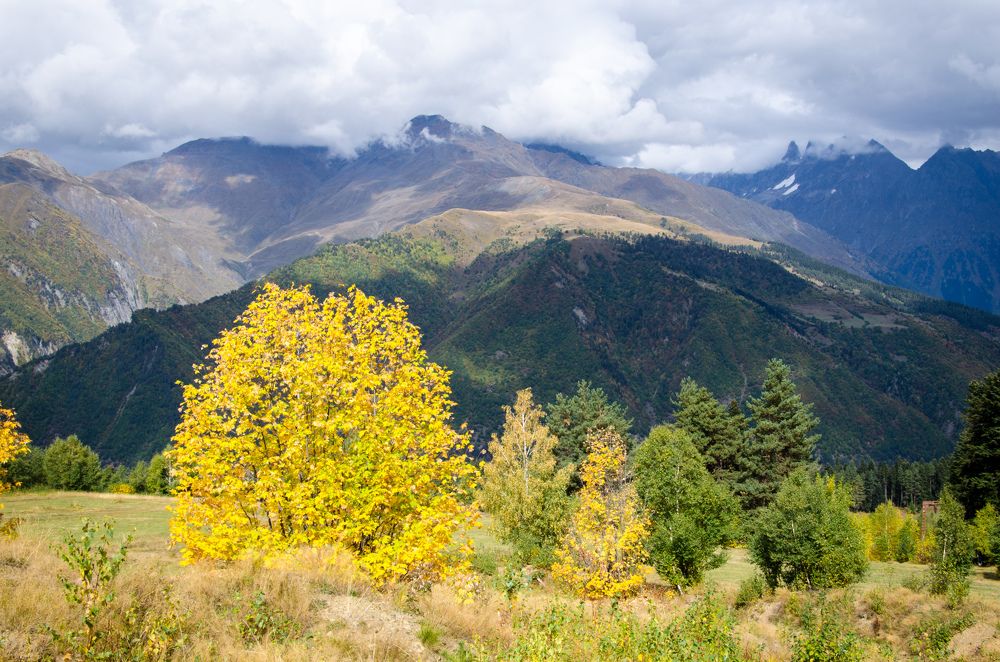 Photograph by Виктор Карпов