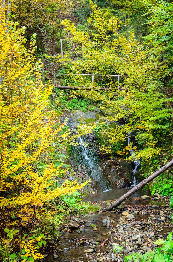 Photograph by Виктор Карпов