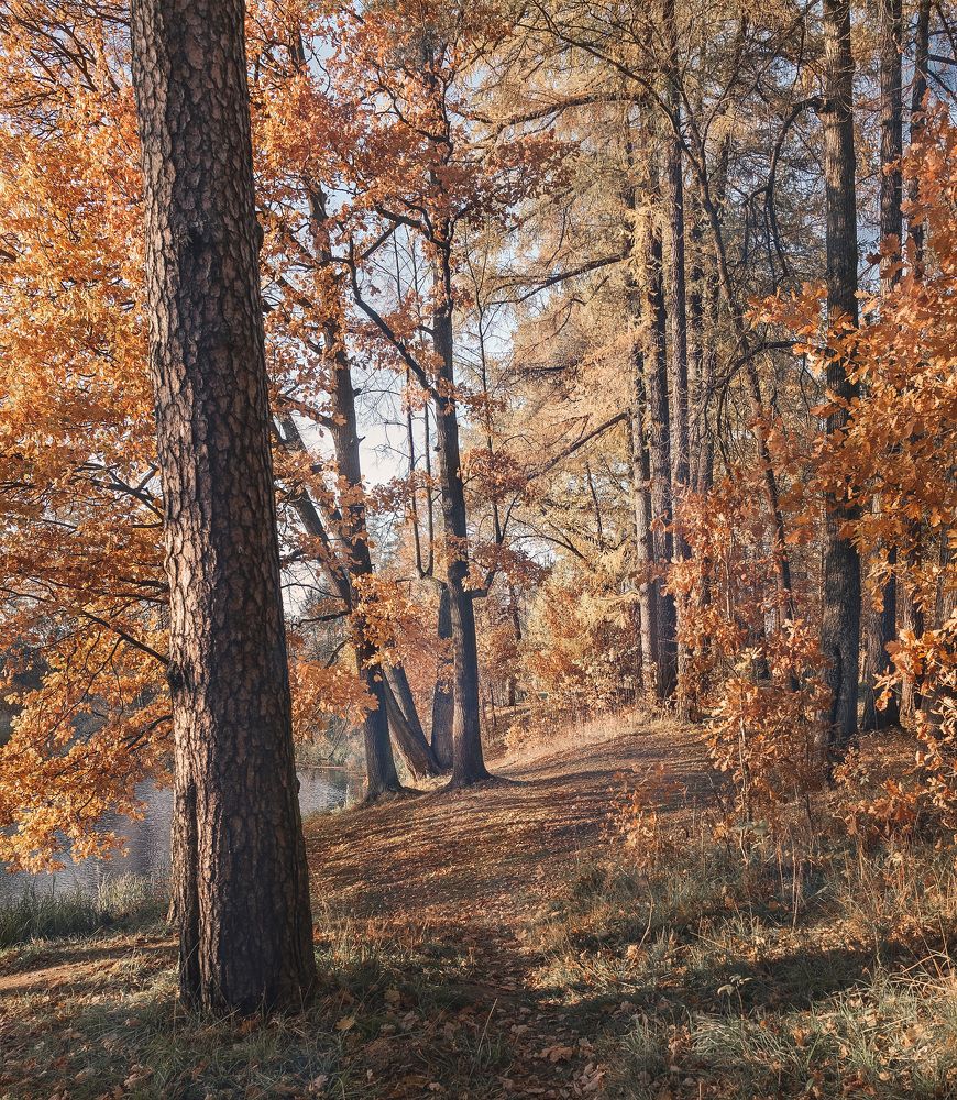 Photograph by sergei