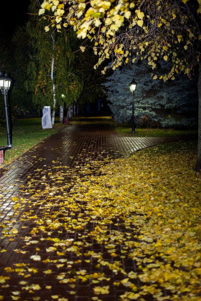 Photograph by Evgeniy Shev