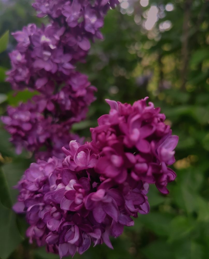 Photograph by Юлия Гетманская