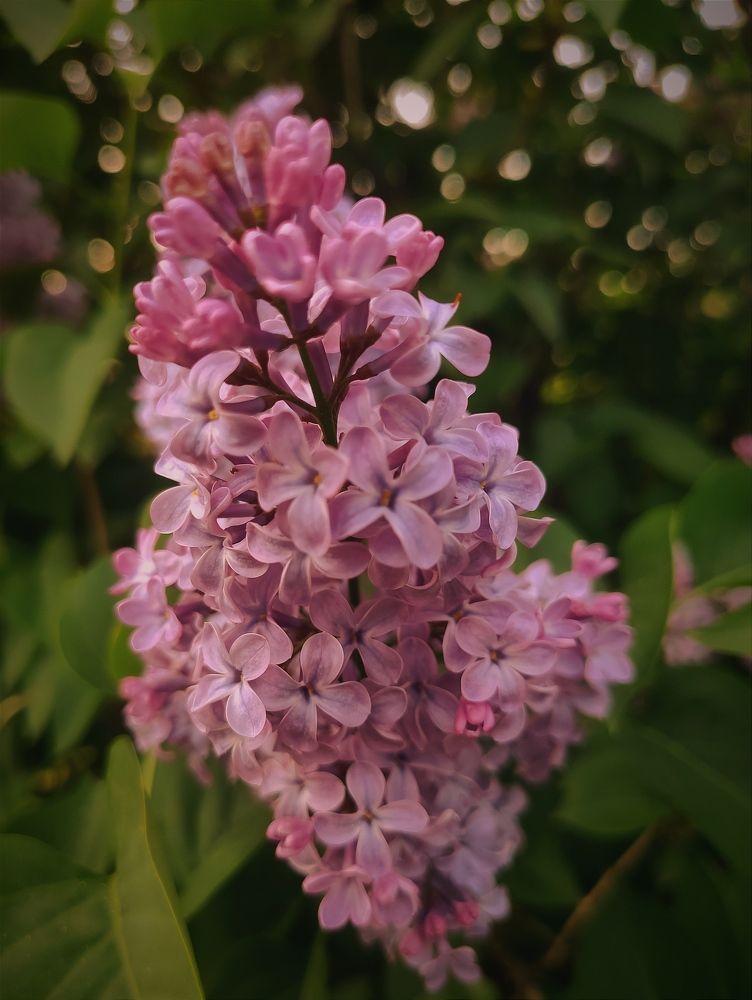 Photograph by Юлия Гетманская