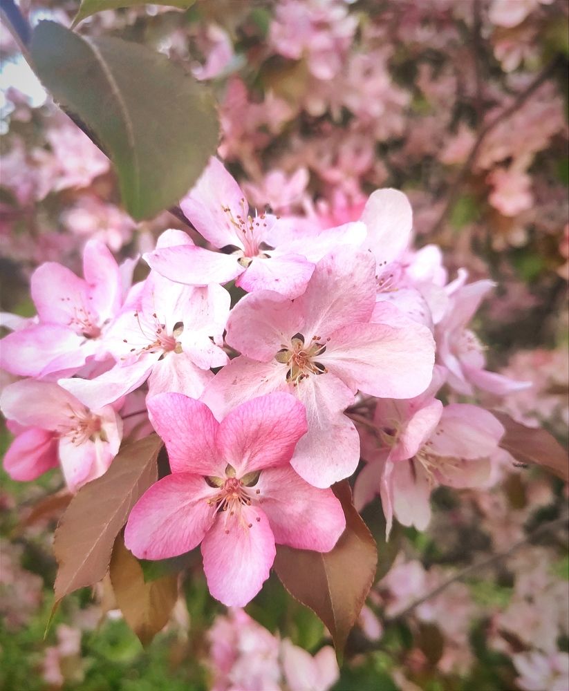 Photograph by Юлия Гетманская