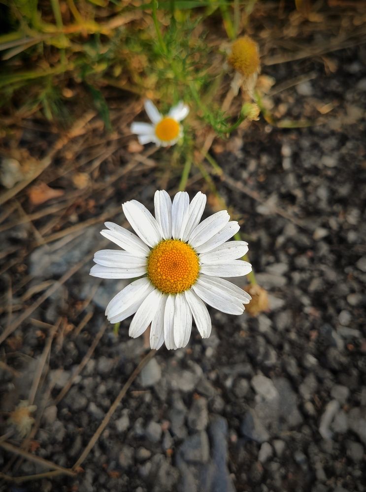 Photograph by Юлия Гетманская