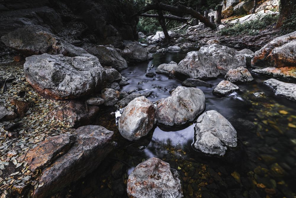 Photograph by Alexander Leshinsky