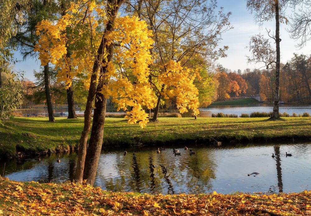 Photograph by Светлана Ващенко