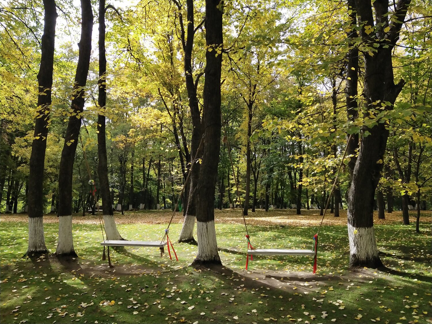 Photo #6561336