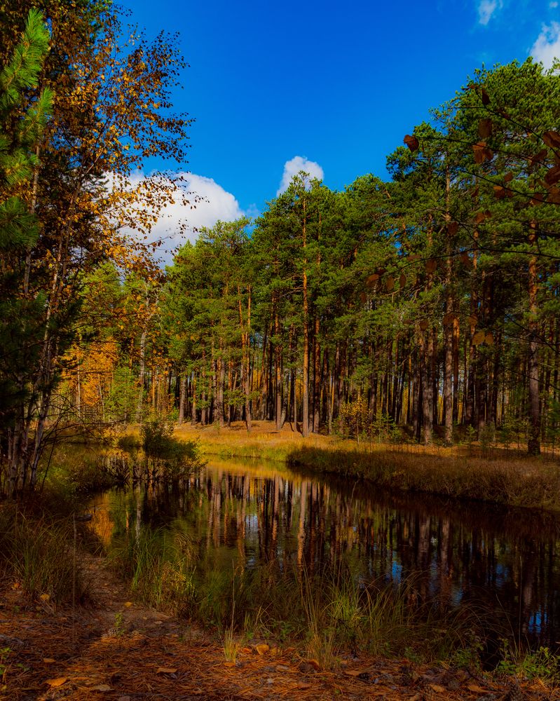 Фотография автора Александр Кадышев