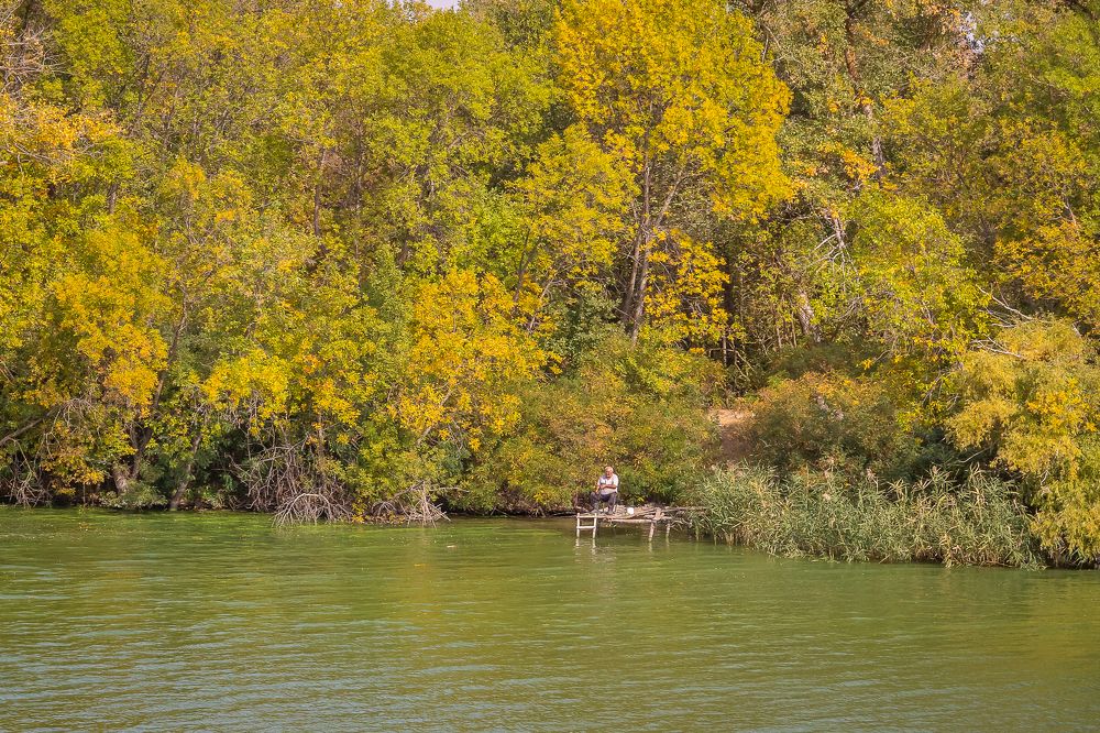 Фотография автора Вячеслав Подлесный