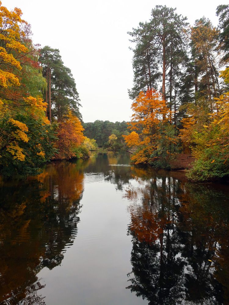 Photograph by Ольга Стоун