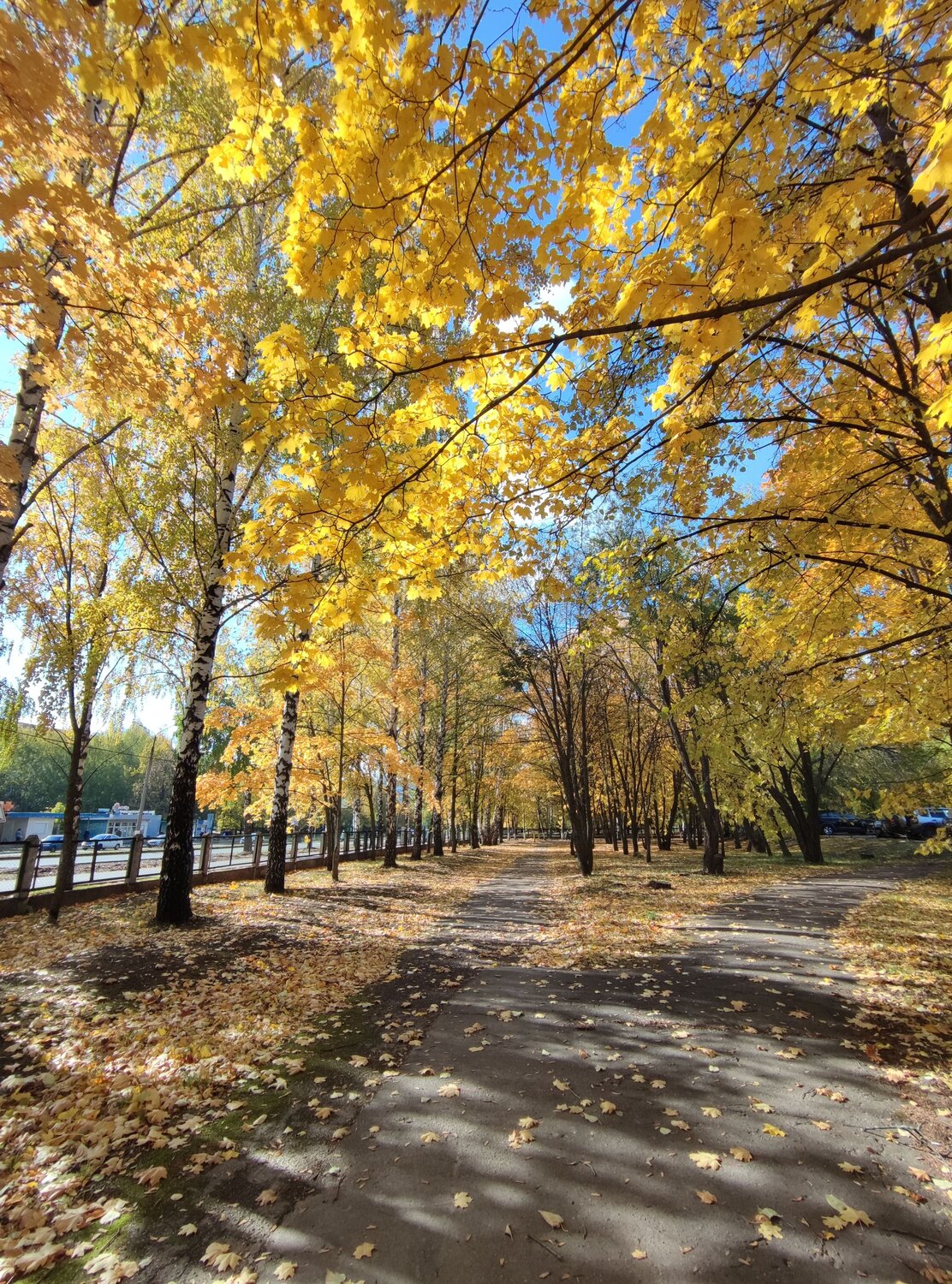 Photo #6561361