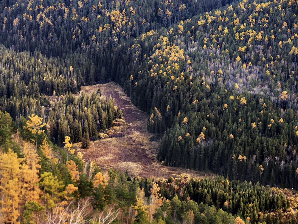 Photograph by Емельянов Саша