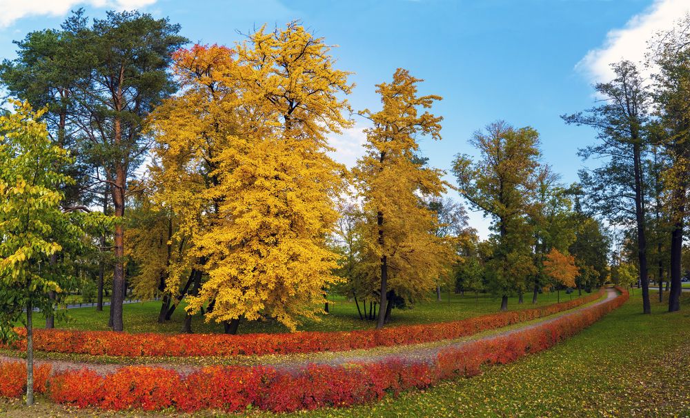 Photograph by Алексей Маринченко