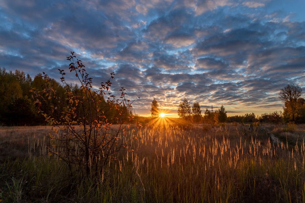 Photograph by Сергей Кочетов