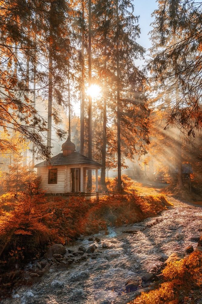 Photograph by Оксана Ващук