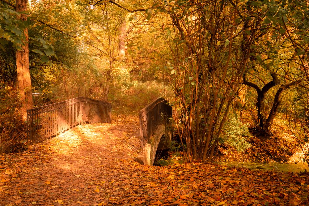 Photograph by Ewa Siwiecka