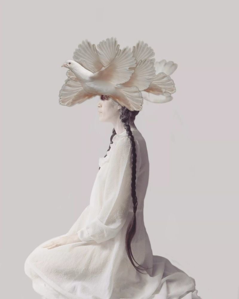 For the Wings of a Dove