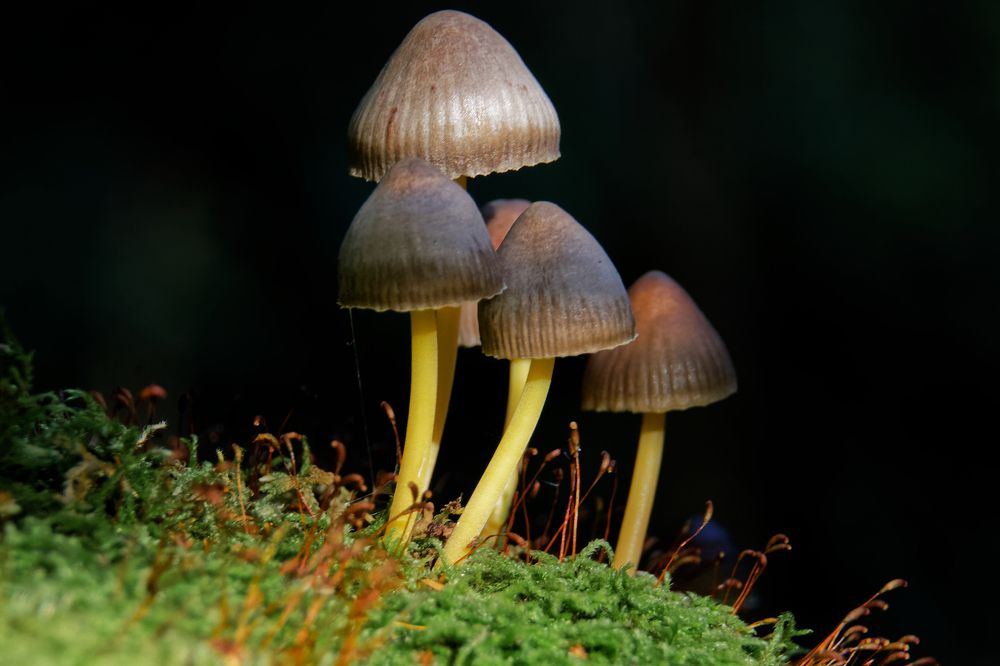 Photograph by Анатолий Калмыков