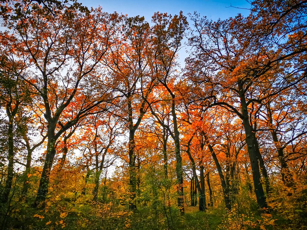 Photograph by Алексей Фастовец