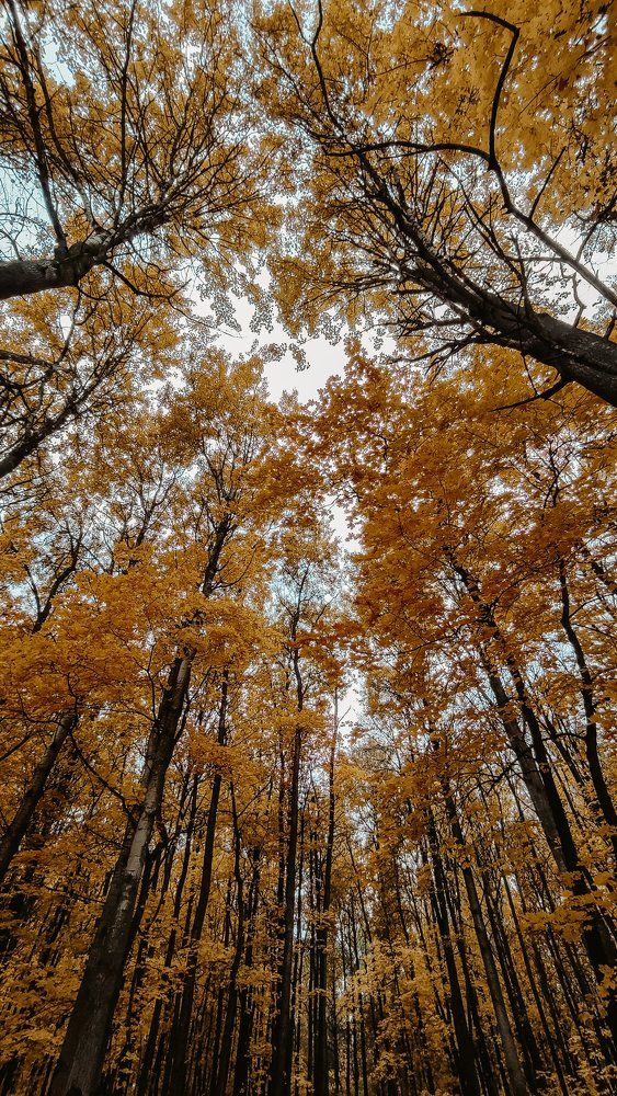 Photograph by Ирина Львова