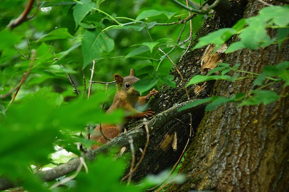 Photograph by Александр