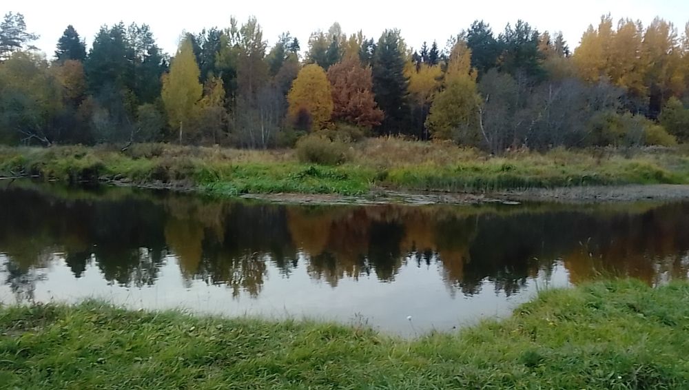 Осень золотая.