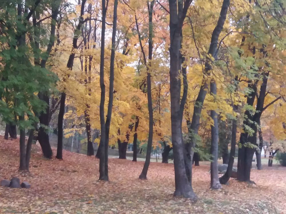 Photograph by Елена Грошева