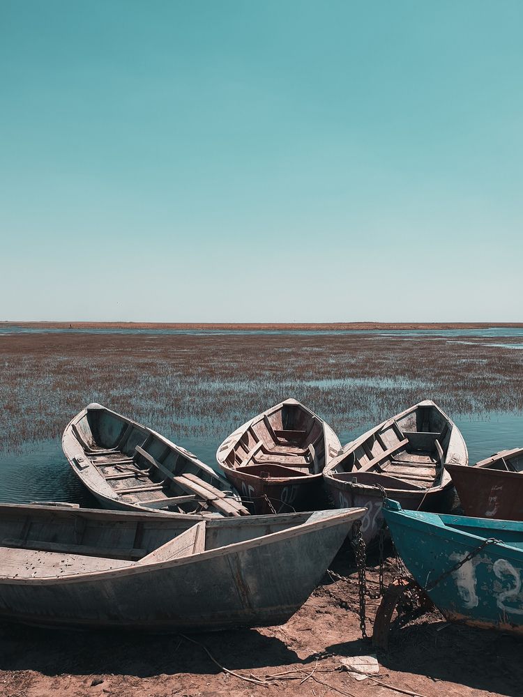 Photograph by Iskandar Nurmukhammadov